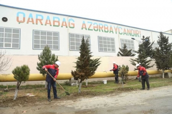 ASCO-nun idarə və təşkilatlarında genişmiqyasılı iməclik keçirilib